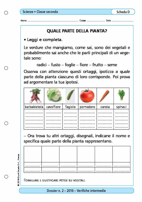 Quale parte della pianta? | Giunti Scuola Quale parte della pianta? | Giunti Scuola