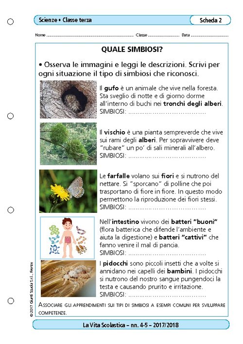 Quale simbiosi? | Giunti Scuola Quale simbiosi? | Giunti Scuola