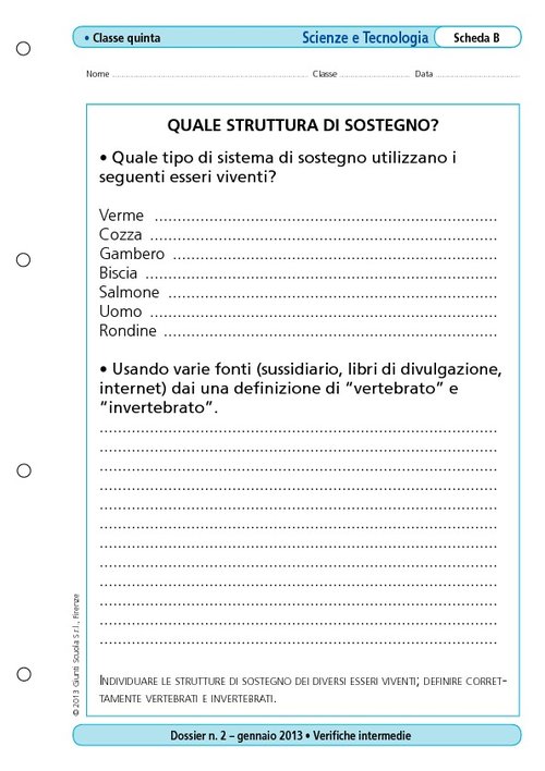Quale struttura di sostegno? | Giunti Scuola Quale struttura di sostegno? | Giunti Scuola