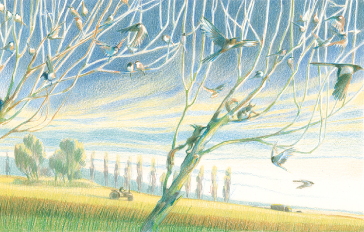 "Quando gli animali andavano a piedi", un albo poetico | Giunti Scuola "Quando gli animali andavano a piedi", un albo poetico | Giunti Scuola