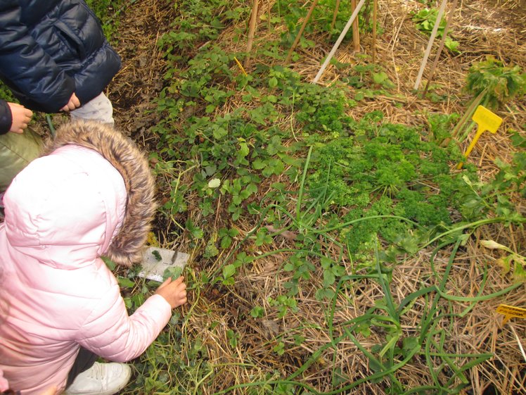 Quando natura fa rima con intercultura | Giunti Scuola