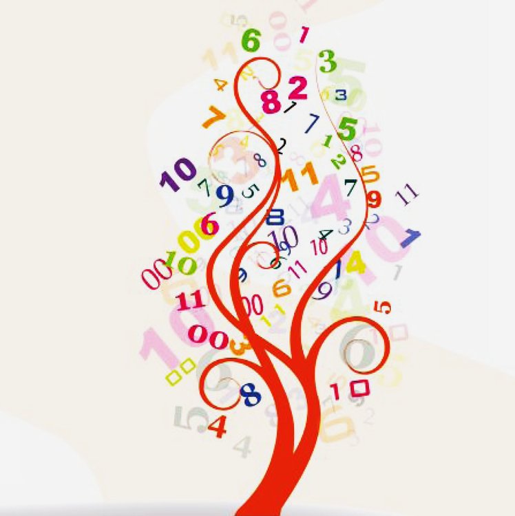Quant’è importante la metacognizione per l’apprendimento matematico? | Giunti Scuola Quant’è importante la metacognizione per l’apprendimento matematico? | Giunti Scuola