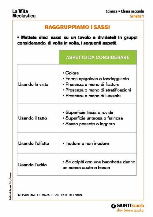 Raggruppiamo i sassi | Giunti Scuola Raggruppiamo i sassi | Giunti Scuola