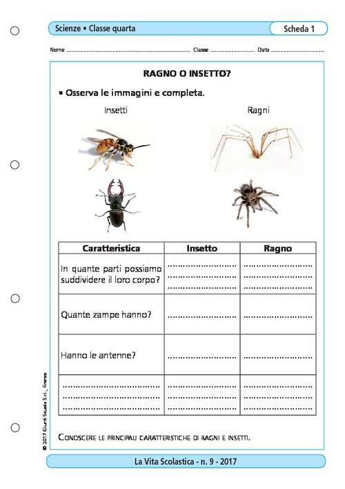 Ragno o insetto? | Giunti Scuola Ragno o insetto? | Giunti Scuola