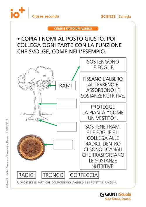 Recupero e Ripasso 2B - Scienze | Giunti Scuola Recupero e Ripasso 2B - Scienze | Giunti Scuola