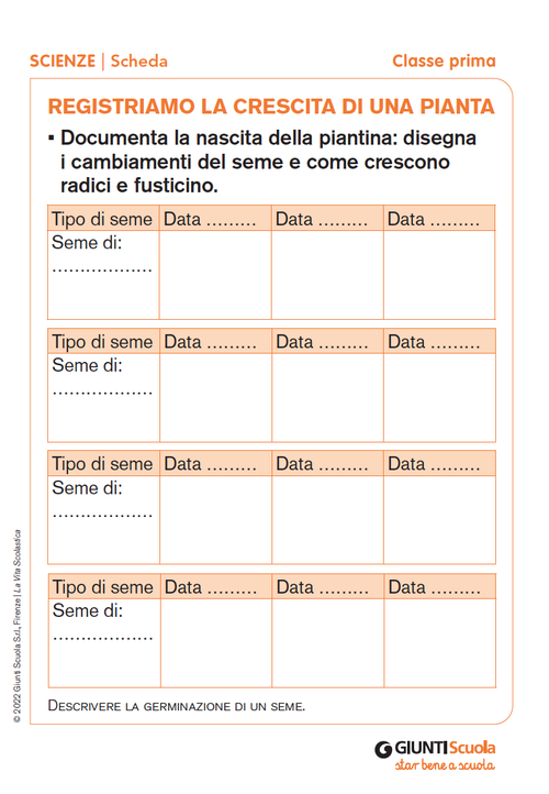 Registriamo la crescita di una pianta | Giunti Scuola Registriamo la crescita di una pianta | Giunti Scuola