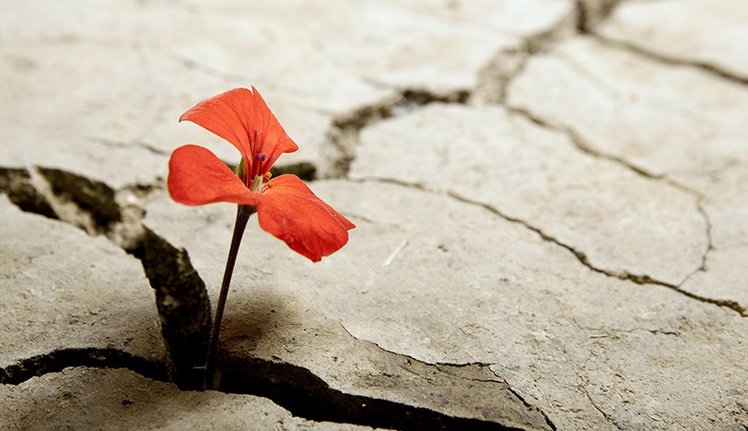 Resilienza e promozione delle competenze a scuola | Giunti Scuola Resilienza e promozione delle competenze a scuola | Giunti Scuola