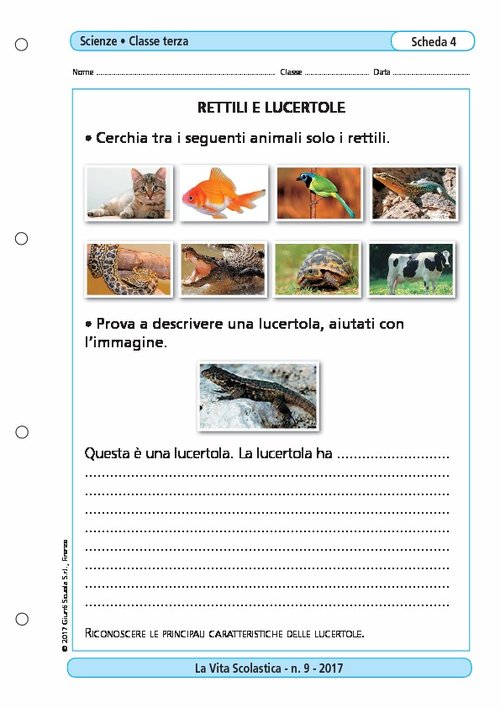 Rettili e lucertole | Giunti Scuola Rettili e lucertole | Giunti Scuola