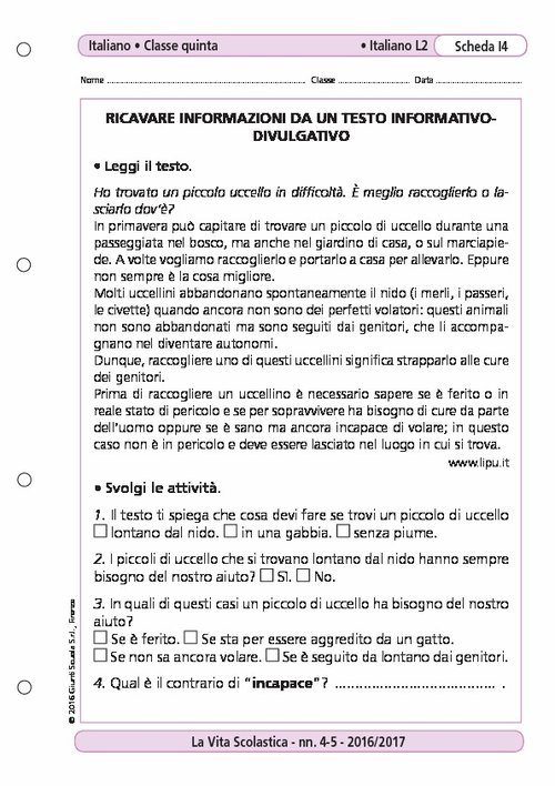 Ricavare informazioni da un testo informativo-divulgativo | Giunti Scuola