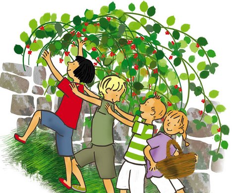 Ricettari segreti e insalate di fiori spontanei a scuola | Giunti Scuola Ricettari segreti e insalate di fiori spontanei a scuola | Giunti Scuola