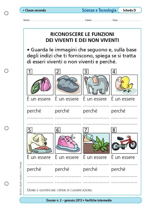Riconoscere le funzioni dei viventi e dei non viventi | Giunti Scuola Riconoscere le funzioni dei viventi e dei non viventi | Giunti Scuola