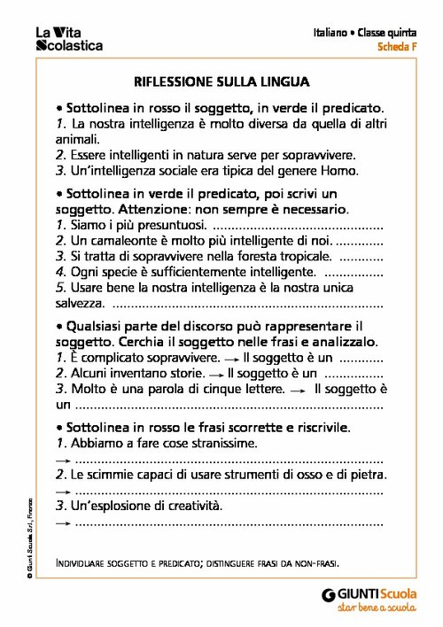 Riflessione sulla lingua | Giunti Scuola