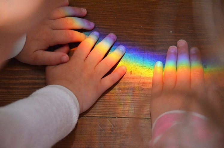 Il messaggio di speranza dei nidi | Giunti Scuola Il messaggio di speranza dei nidi | Giunti Scuola