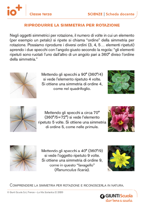 Riprodurre la simmetria per rotazione | Giunti Scuola Riprodurre la simmetria per rotazione | Giunti Scuola