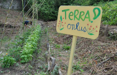 Riqualificare spazi urbani in modo ecologico: l'orto a scuola come libro aperto sul mondo | Giunti Scuola