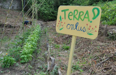 Riqualificare spazi urbani in modo ecologico: l'orto a scuola come libro aperto sul mondo | Giunti Scuola Riqualificare spazi urbani in modo ecologico: l'orto a scuola come libro aperto sul mondo | Giunti Scuola