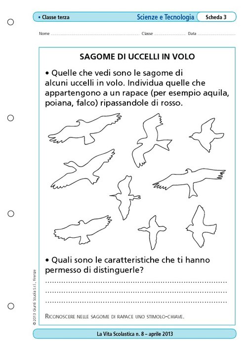Sagome di uccelli in volo | Giunti Scuola Sagome di uccelli in volo | Giunti Scuola