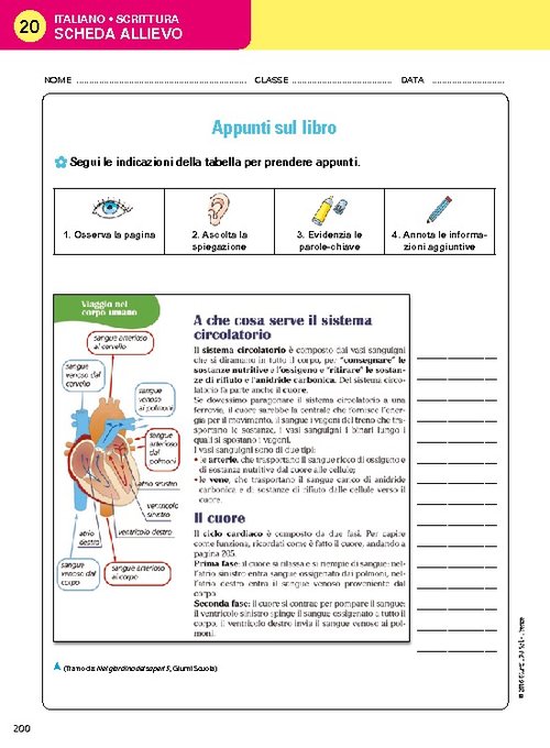 Scheda allievo 20 | Giunti Scuola Scheda allievo 20 | Giunti Scuola
