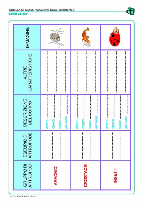 Scheda di classificazione degli artropodi (pdf) | Giunti Scuola