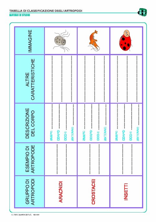 Scheda di classificazione degli artropodi (pdf) | Giunti Scuola Scheda di classificazione degli artropodi (pdf) | Giunti Scuola