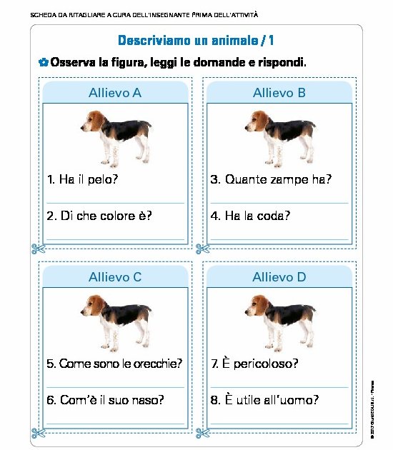 Schede Allievo Del Volume Area 8 Schede Allievo Del Volume Area 8 