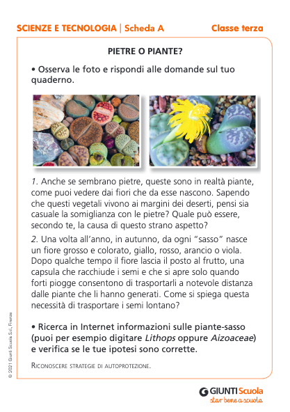 Schede prove di ingresso | Scienze e Tecnologia 3 | Giunti Scuola