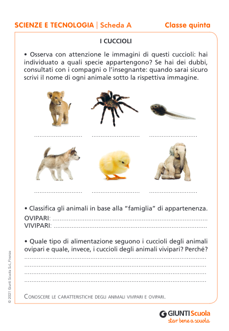 Schede prove di ingresso | Scienze e Tecnologia 5 | Giunti Scuola Schede prove di ingresso | Scienze e Tecnologia 5 | Giunti Scuola