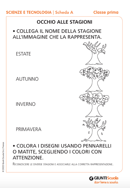 Schede verifiche intermedie | Scienze e Tecnologia 1 | Giunti Scuola Schede verifiche intermedie | Scienze e Tecnologia 1 | Giunti Scuola