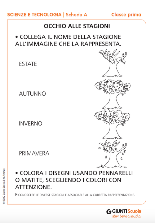 Schede verifiche intermedie | Scienze e Tecnologia 1 | Giunti Scuola