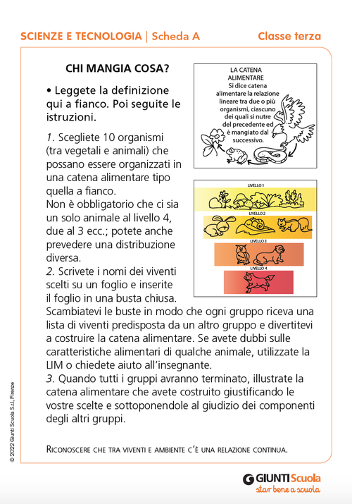 Schede verifiche intermedie | Scienze e Tecnologia 3 | Giunti Scuola Schede verifiche intermedie | Scienze e Tecnologia 3 | Giunti Scuola