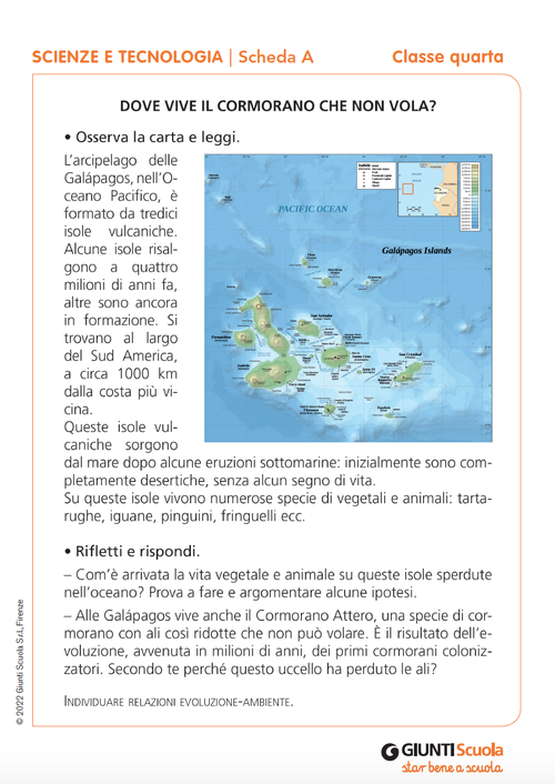 Schede verifiche intermedie | Scienze e Tecnologia 4 | Giunti Scuola Schede verifiche intermedie | Scienze e Tecnologia 4 | Giunti Scuola