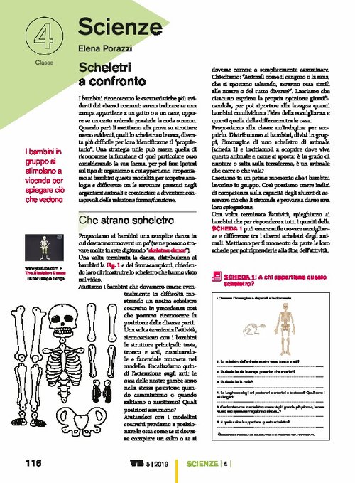 Scheletri a confronto | Giunti Scuola Scheletri a confronto | Giunti Scuola