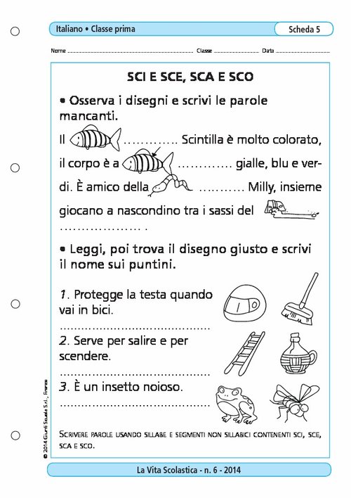 SCI e SCE, SCA e SCO | Giunti Scuola SCI e SCE, SCA e SCO | Giunti Scuola