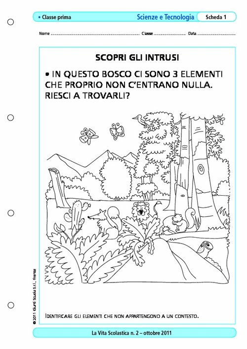 Scopri gli intrusi | Giunti Scuola Scopri gli intrusi | Giunti Scuola