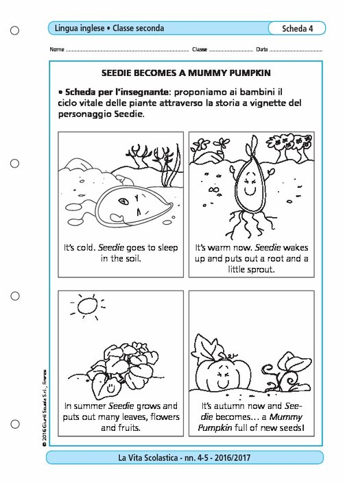 Seedie becomes a mummy pumpkin | Giunti Scuola Seedie becomes a mummy pumpkin | Giunti Scuola