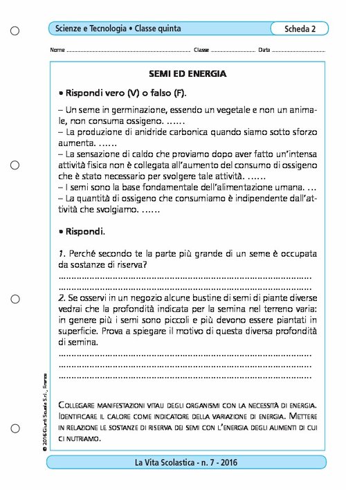 Semi ed energia | Giunti Scuola Semi ed energia | Giunti Scuola