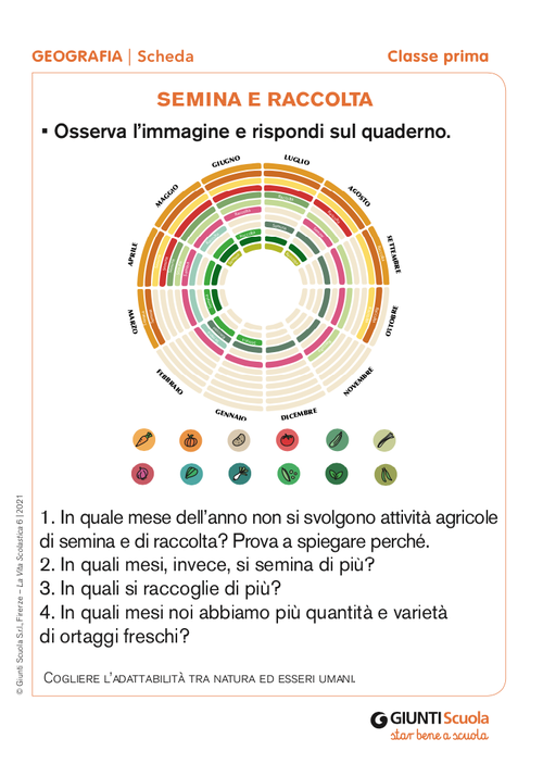 Semina e raccolta | Giunti Scuola Semina e raccolta | Giunti Scuola