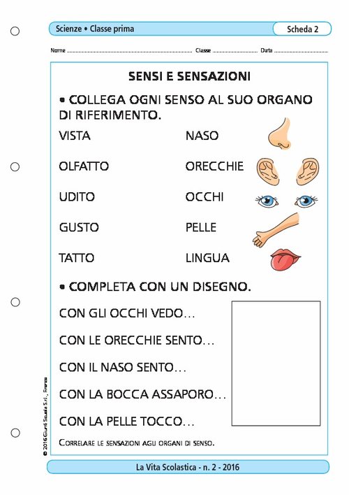 Sensi e sensazioni | Giunti Scuola Sensi e sensazioni | Giunti Scuola