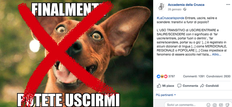 “Siedi il bambino!”: cosa dice la Crusca e la questione della lingua | Giunti Scuola “Siedi il bambino!”: cosa dice la Crusca e la questione della lingua | Giunti Scuola