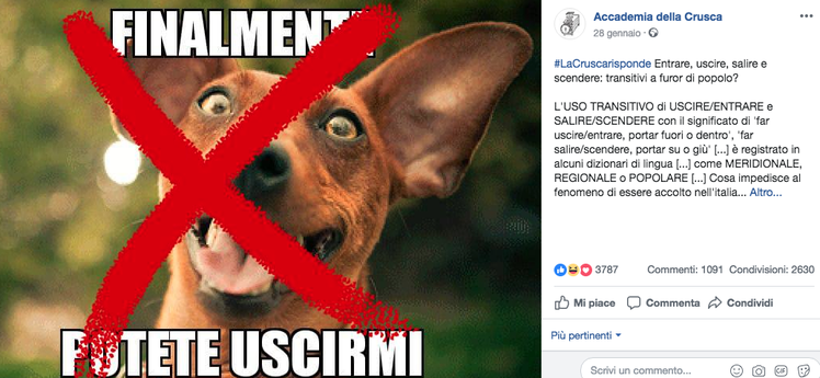 “Siedi il bambino!”: cosa dice la Crusca e la questione della lingua | Giunti Scuola