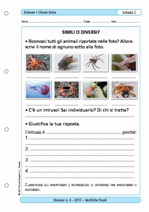 Simili o diversi? | Giunti Scuola Simili o diversi? | Giunti Scuola