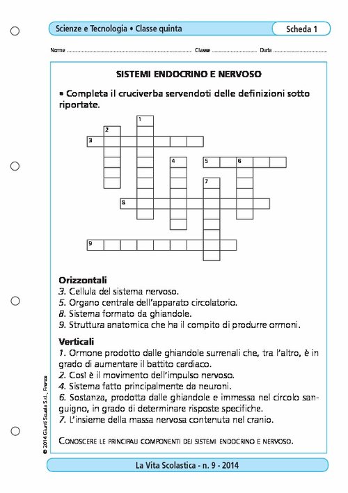 Sistemi endocrino e nervoso | Giunti Scuola Sistemi endocrino e nervoso | Giunti Scuola