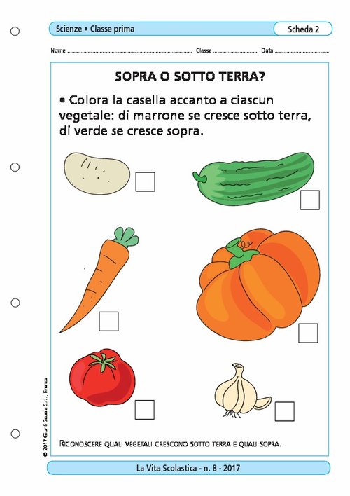 Sopra o sotto terra? | Giunti Scuola Sopra o sotto terra? | Giunti Scuola