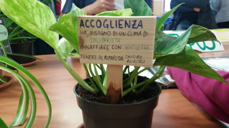 Spezziamo il pregiudizio! Libri, lettere e piante in classe | Giunti Scuola Spezziamo il pregiudizio! Libri, lettere e piante in classe | Giunti Scuola