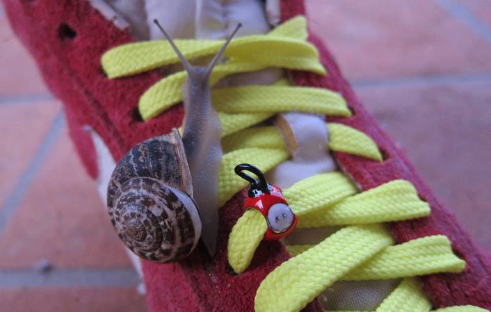 Sto fermo eppur... mi muovo! | Giunti Scuola Sto fermo eppur... mi muovo! | Giunti Scuola
