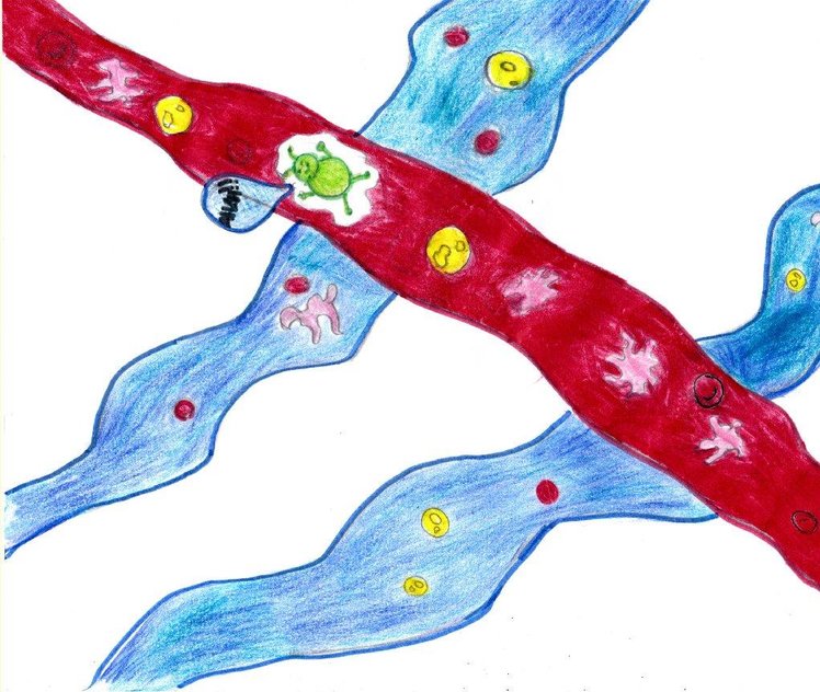 Strani personaggi esplorano il corpo umano | Giunti Scuola Strani personaggi esplorano il corpo umano | Giunti Scuola