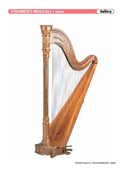 Strumenti musicali | Giunti Scuola Strumenti musicali | Giunti Scuola