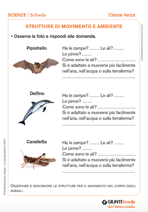 Strutture di movimento e ambiente | Giunti Scuola Strutture di movimento e ambiente | Giunti Scuola