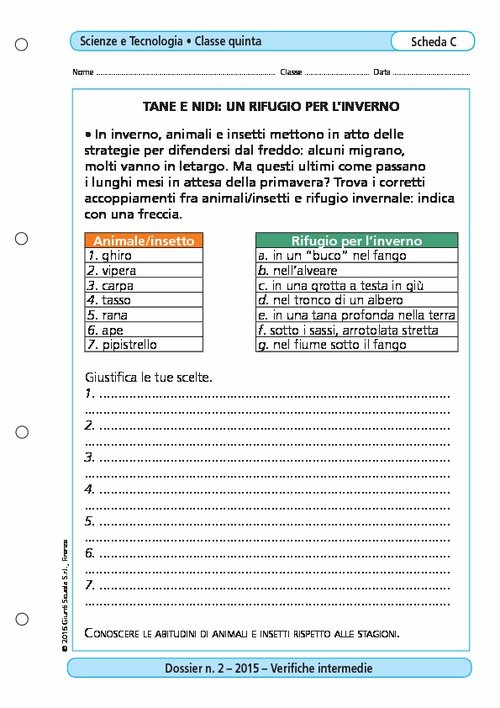 Tane e nidi: un rifugio per l'inverno | Giunti Scuola Tane e nidi: un rifugio per l'inverno | Giunti Scuola