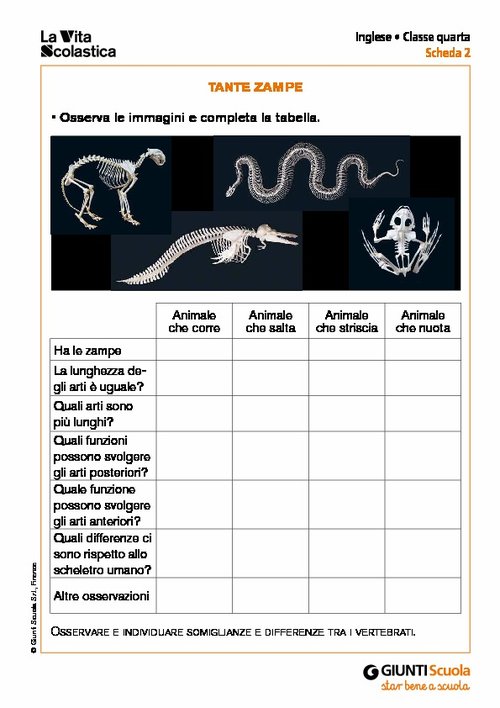Tante zampe | Giunti Scuola